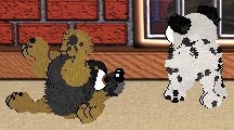 petz10.jpg