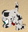 petz12.jpg